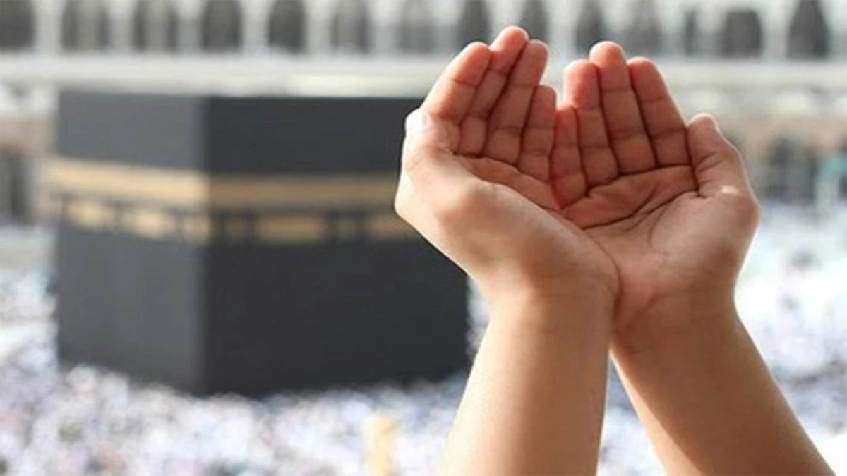 لماذا العفو ؟